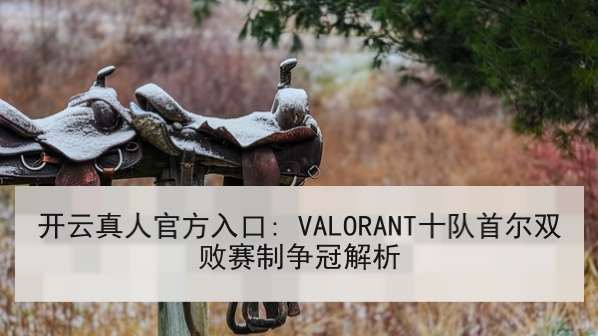 开云真人官方入口: VALORANT十队首尔双败赛制争冠解析