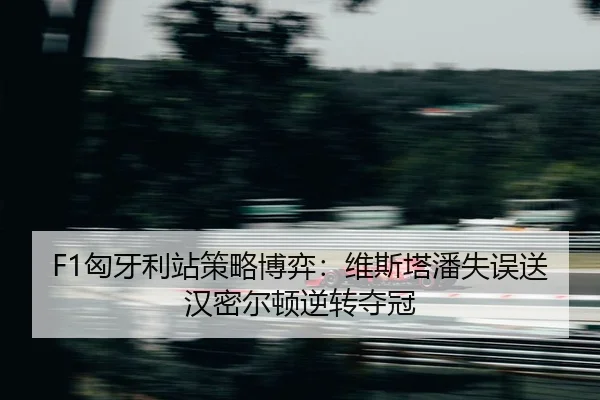 xiong-ya-li-zhan-ce-lve-bo-yi-wei-si-ta-pan-shi-wu-song-han-mi-er-dun-ni-zhuan-duo-guan-2-352.jpg