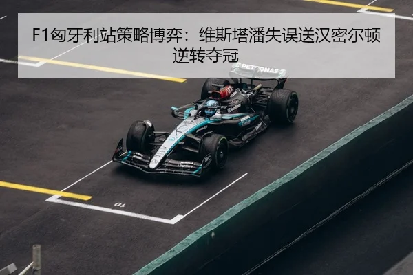 xiong-ya-li-zhan-ce-lve-bo-yi-wei-si-ta-pan-shi-wu-song-han-mi-er-dun-ni-zhuan-duo-guan-3-278.jpg