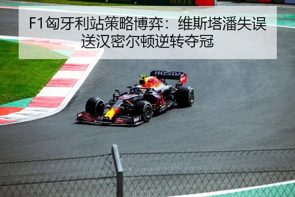 F1匈牙利站策略博弈：维斯塔潘失误送汉密尔顿逆转夺冠