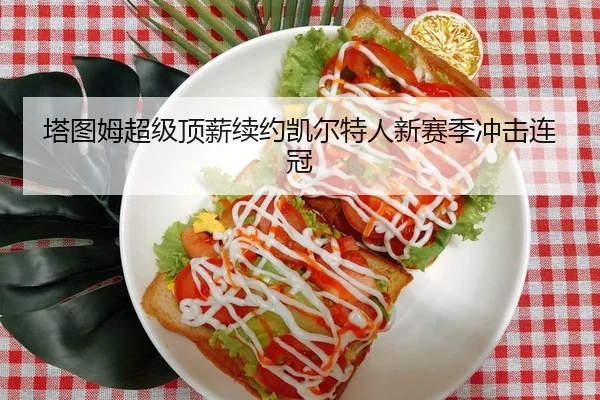 塔图姆超级顶薪续约凯尔特人新赛季冲击连冠