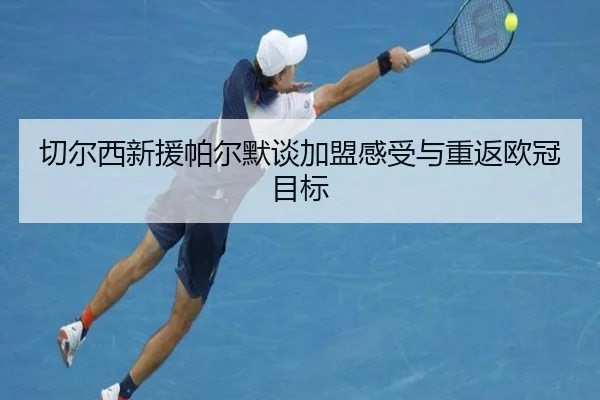 切尔西新援帕尔默谈加盟感受与重返欧冠目标
